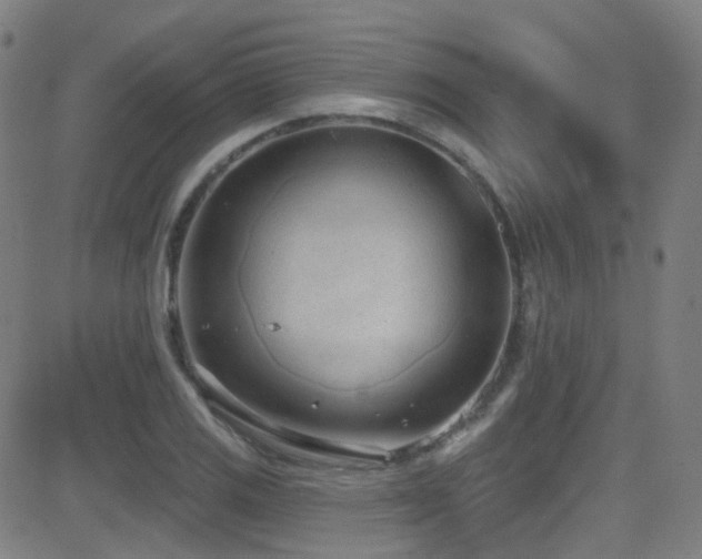 X0000081401125200701111536