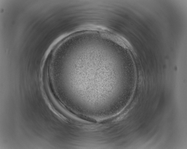 X0000081401128200701111536