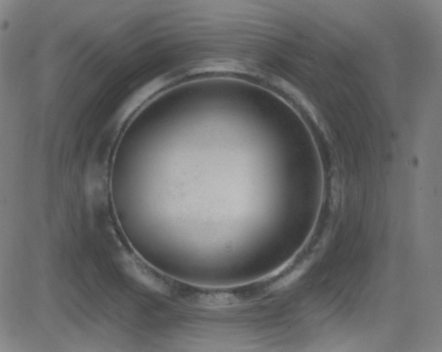 X0000081401129200701111536