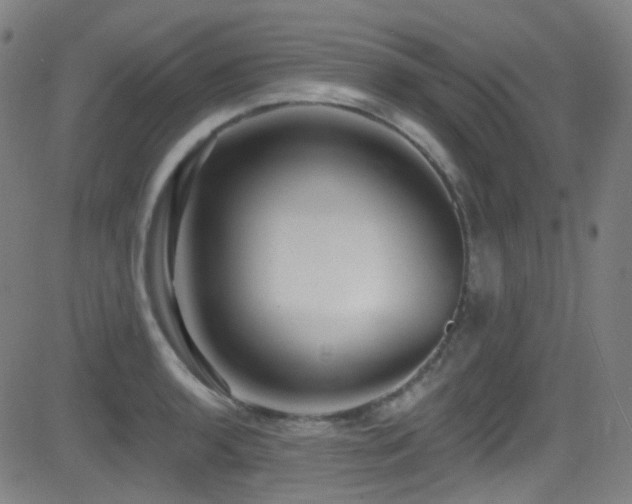 X0000081401136200701111536