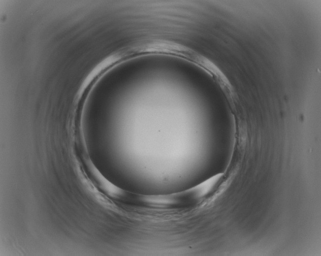 X0000081401138200701111536