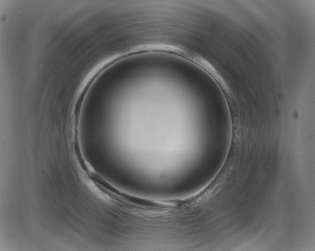 X0000081401140200701111536