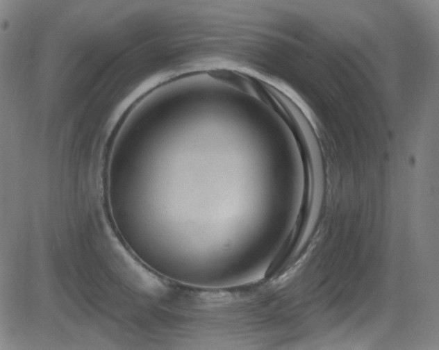 X0000081401142200701111536