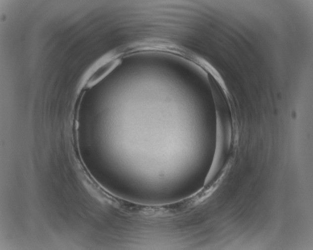X0000081401146200701111536