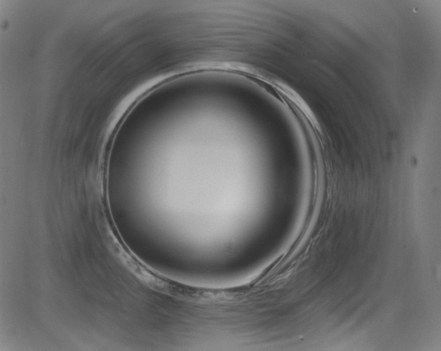 X0000081401148200701111536