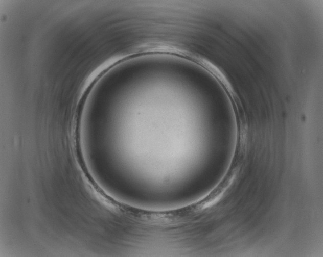 X0000081401149200701111536