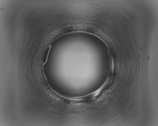 X0000081401153200701111536