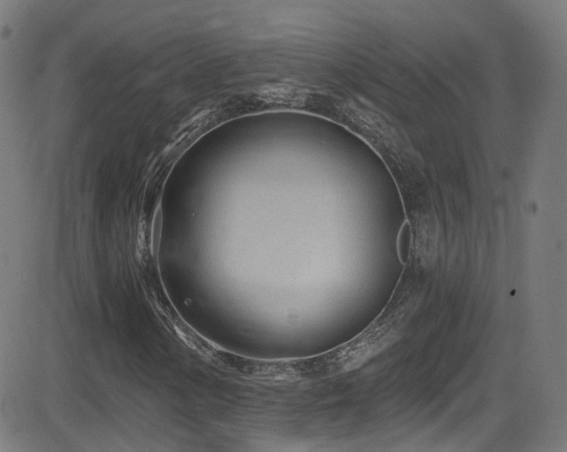 X0000081401154200701111536