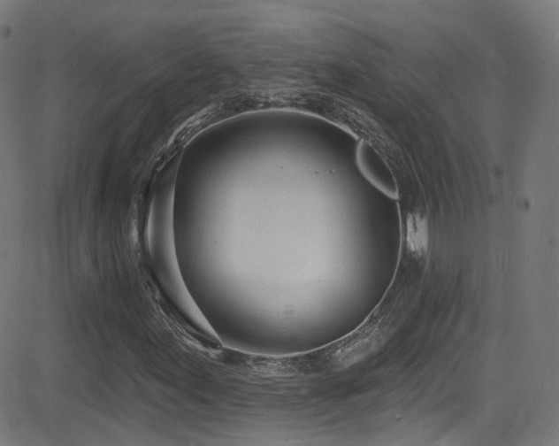 X0000081401155200701111536