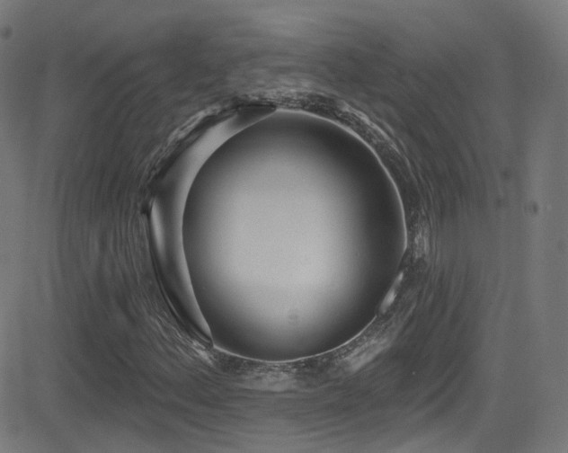 X0000081401156200701111536