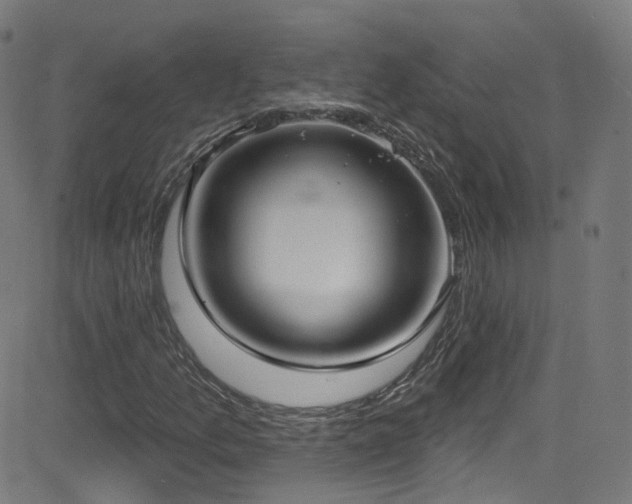 X0000081401157200701111536