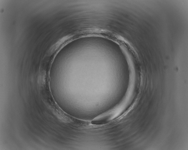 X0000081401161200701111535