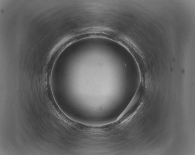 X0000081401164200701111535