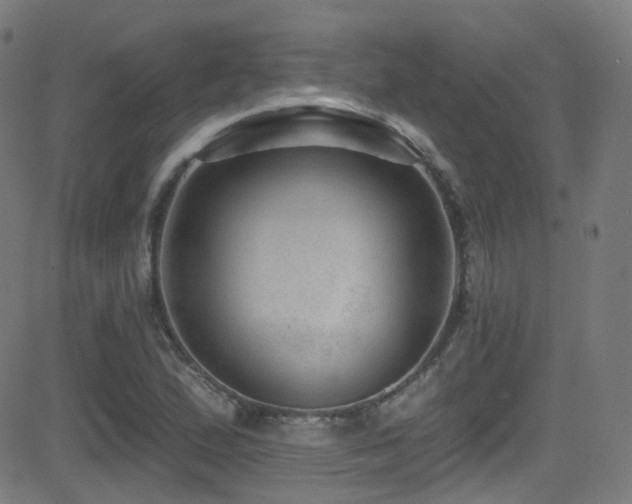 X0000081401167200701111535