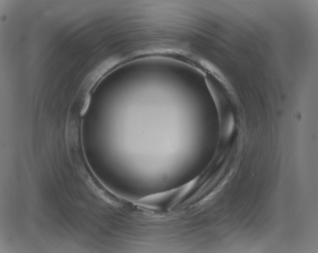 X0000081401177200701111535