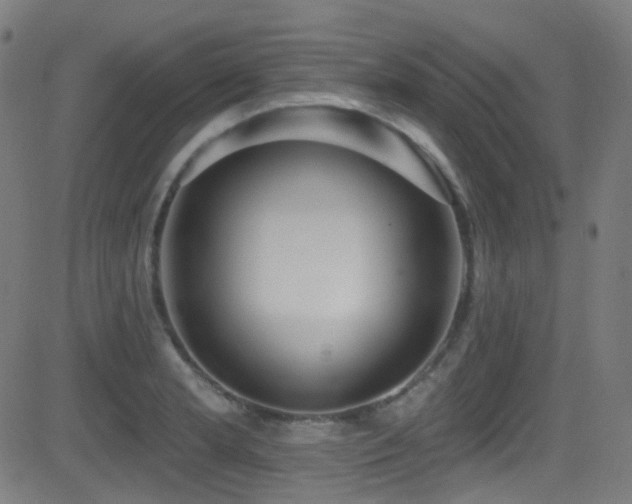 X0000081401181200701111535