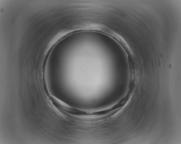 X0000081401184200701111535