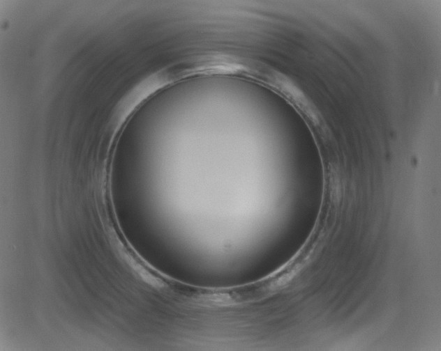 X0000081401186200701111535