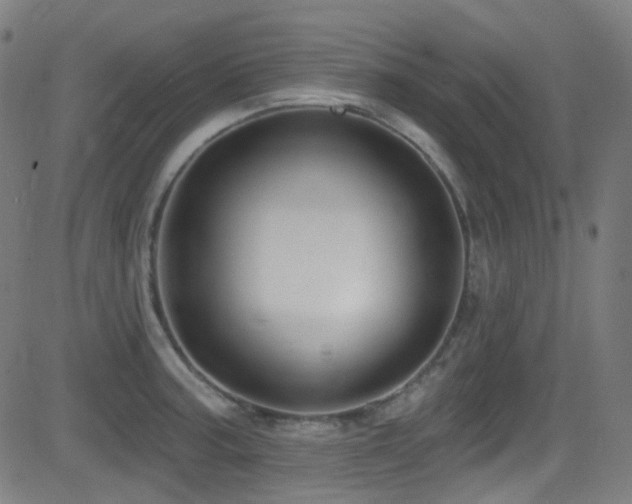 X0000081401187200701111535