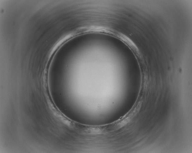 X0000081401190200701111535