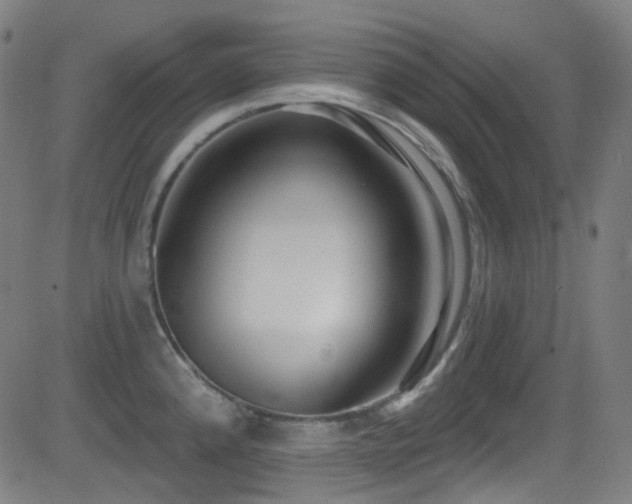 X0000081401192200701111535