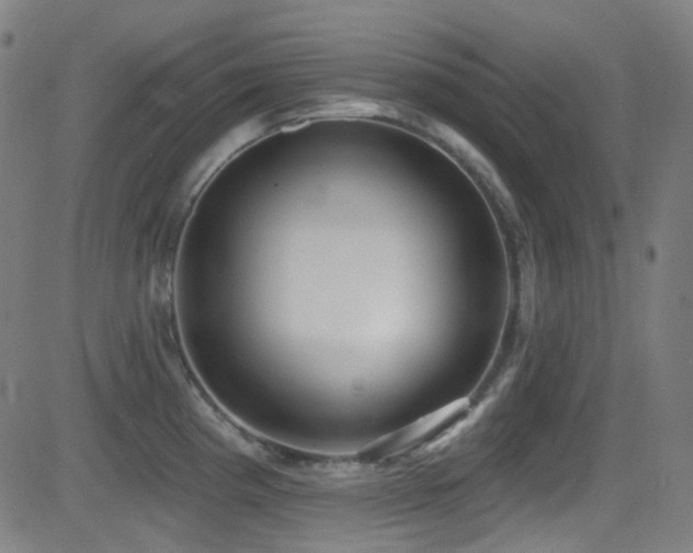 X0000081401193200701111535