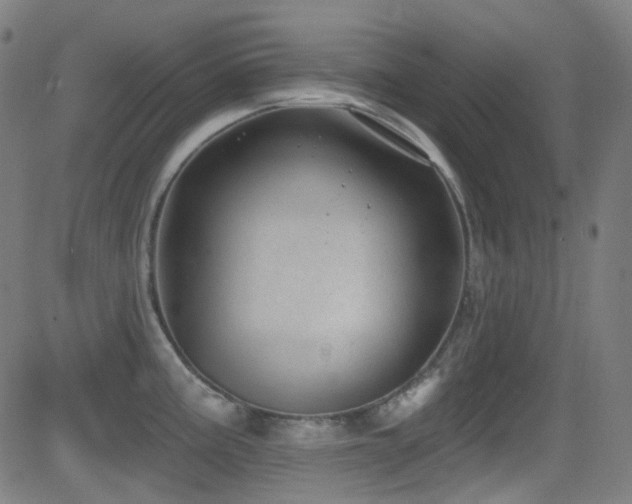 X0000081401195200701111535