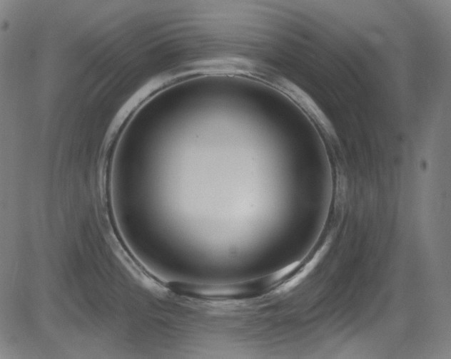 X0000081401196200701111535