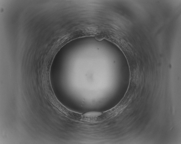 X0000081401201200701111534