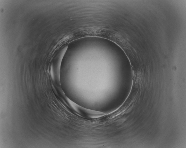 X0000081401202200701111534