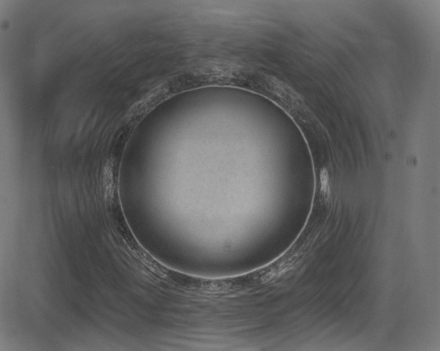 X0000081401203200701111534