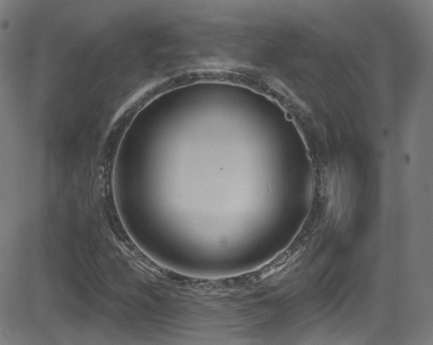 X0000081401208200701111534