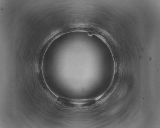 X0000081401209200701111534