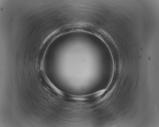 X0000081401210200701111534