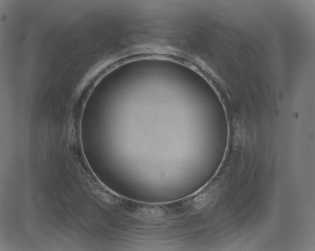 X0000081401215200701111534