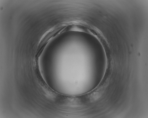 X0000081401218200701111534