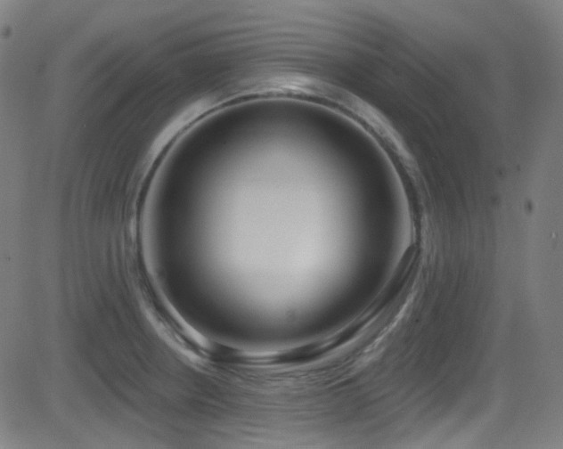 X0000081401234200701111535