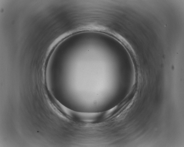 X0000081401238200701111535