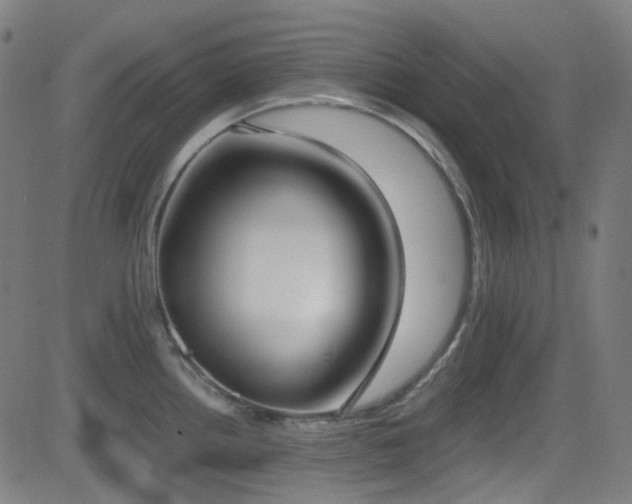 X0000081401242200701111535