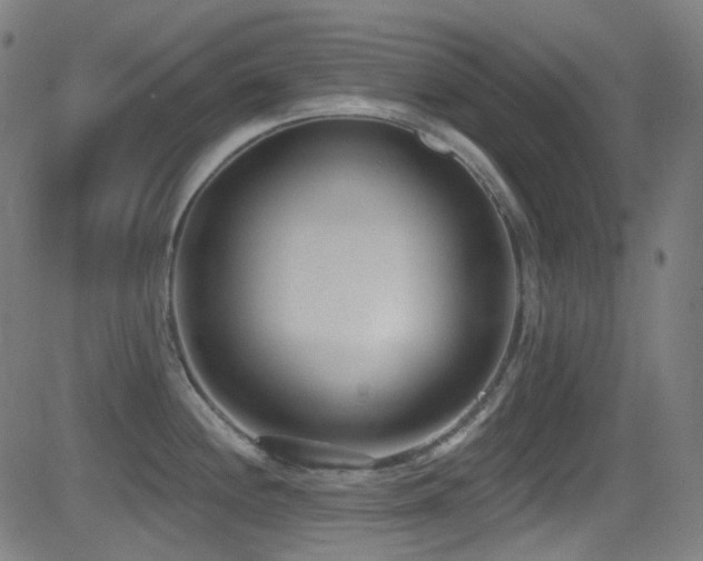 X0000081401244200701111535