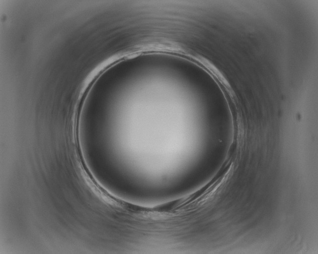 X0000081401246200701111535