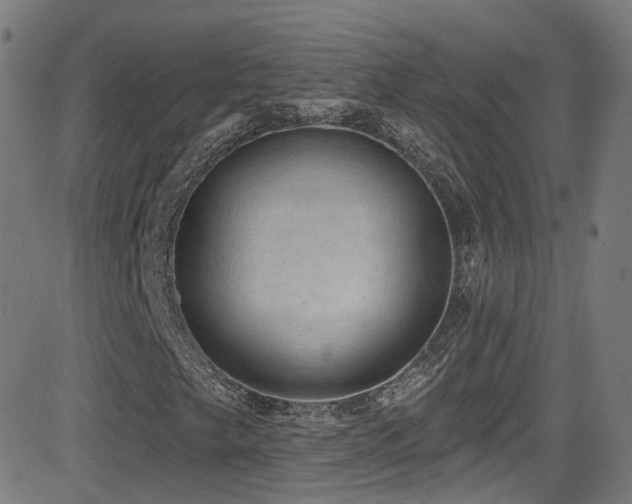 X0000081401249200701111534
