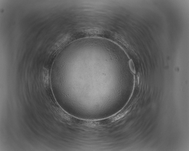 X0000081401251200701111534