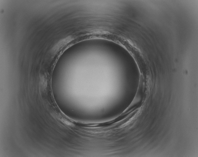 X0000081401257200701111534