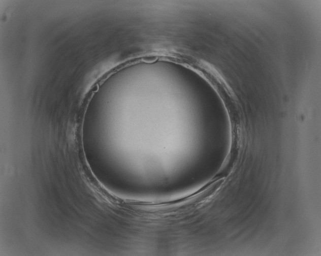X0000081401260200701111534