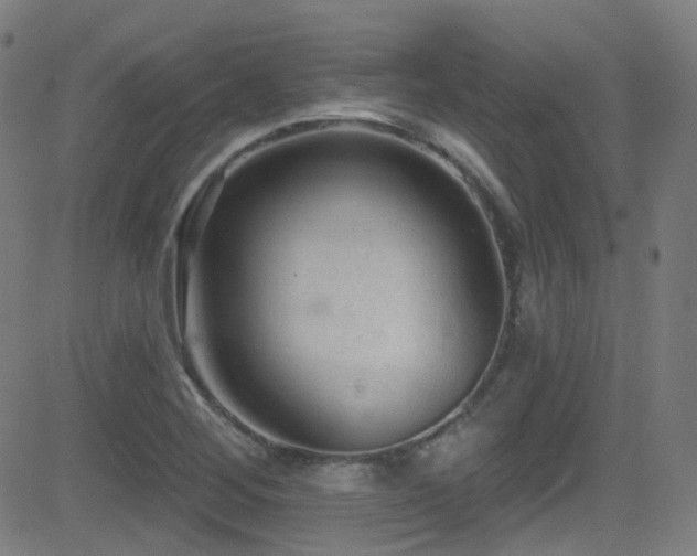 X0000081401268200701111534
