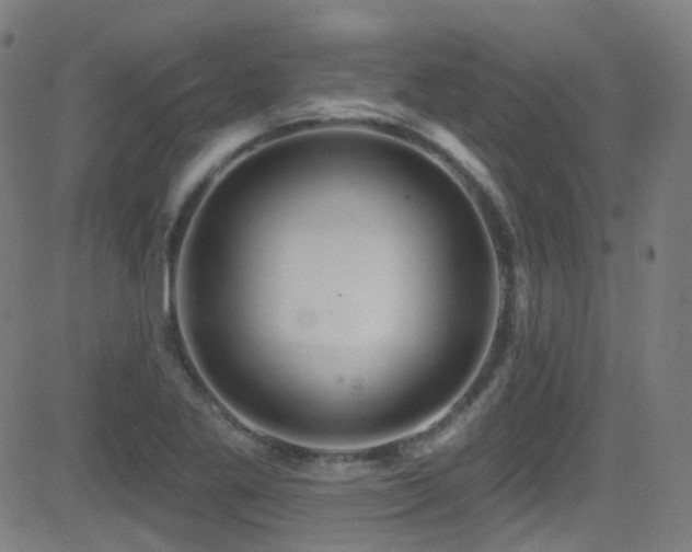 X0000081401269200701111534