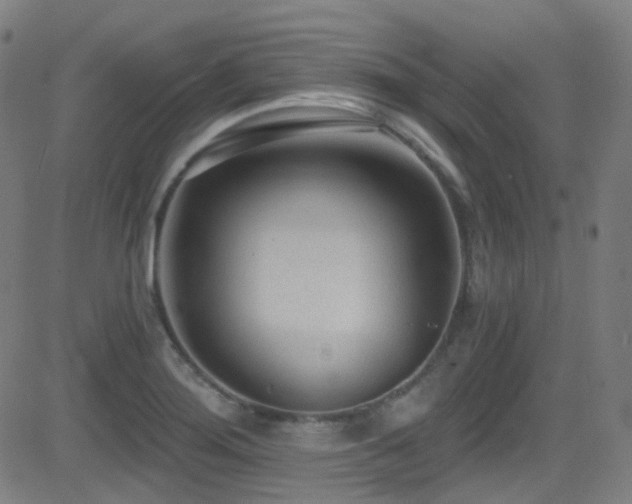 X0000081401276200701111534