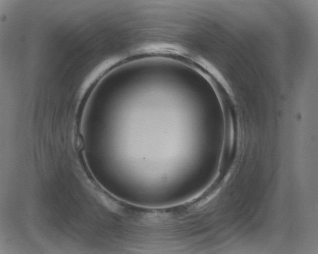 X0000081401277200701111534