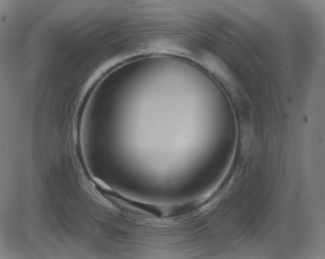 X0000081401280200701111533